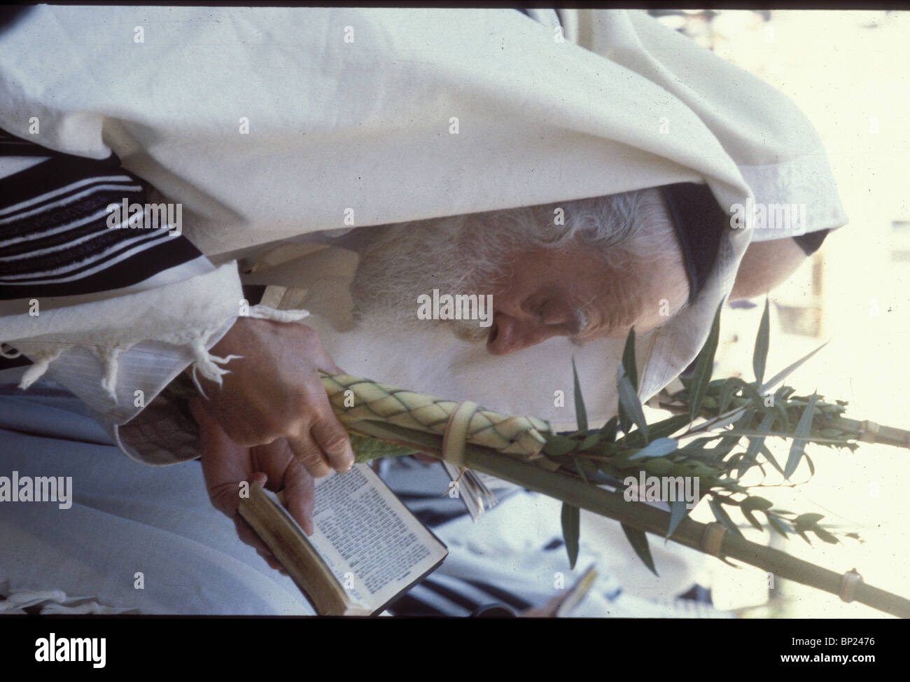 425. Pregando presso il Muro occidentale con le quattro specie durante la festa di Sukkot (Tabernacolo). Foto Stock