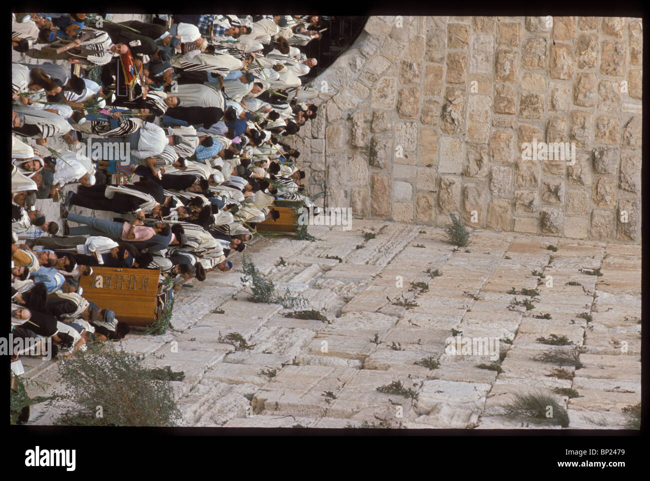 425. Pregando presso il Muro occidentale con le quattro specie durante la festa di Sukkot (Tabernacolo). Foto Stock