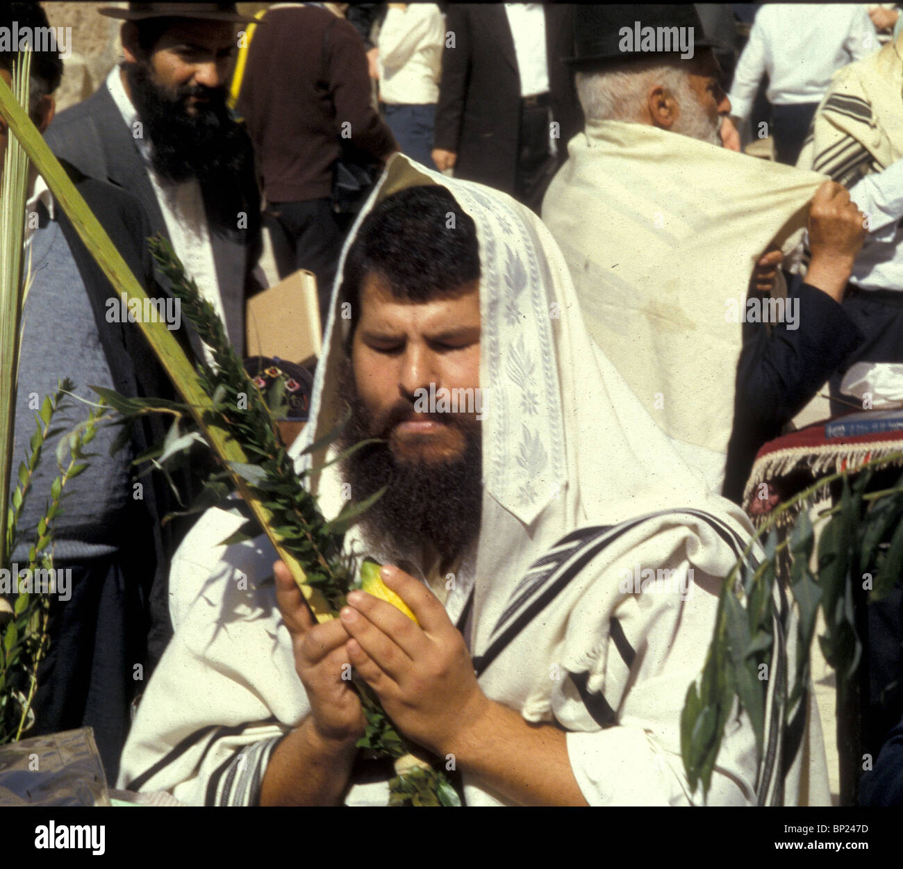 425. Pregando presso il Muro occidentale con le quattro specie durante la festa di Sukkot (Tabernacolo). Foto Stock