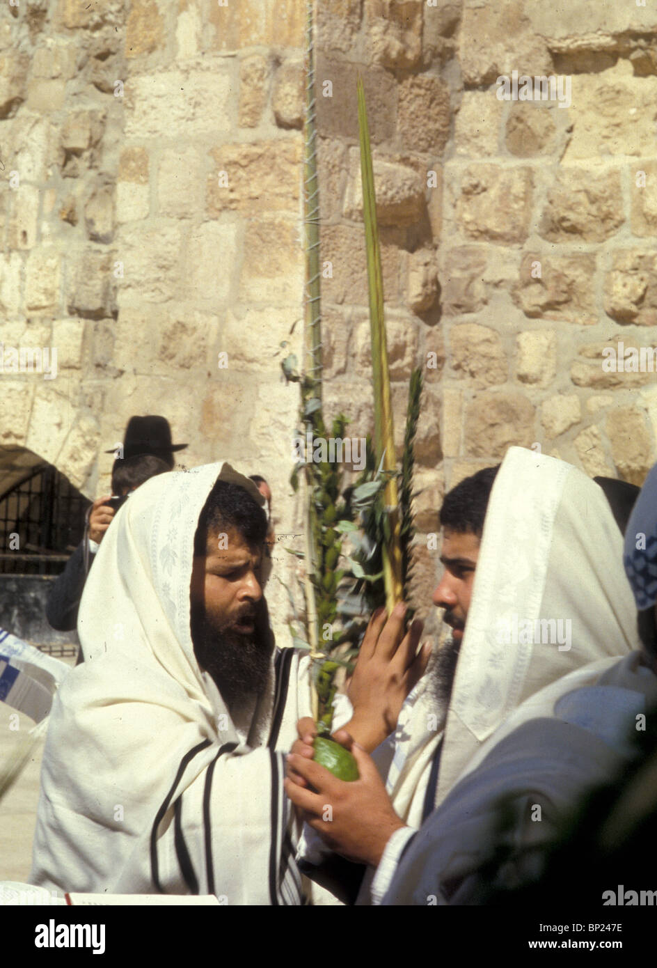 425. Pregando presso il Muro occidentale con le quattro specie durante la festa di Sukkot (Tabernacolo). Foto Stock