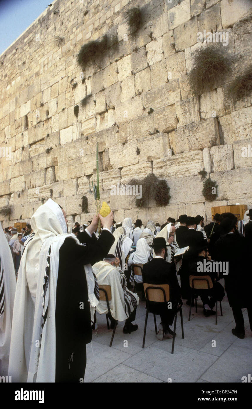425. Pregando presso il Muro occidentale con le quattro specie durante la festa di Sukkot (Tabernacolo). Foto Stock