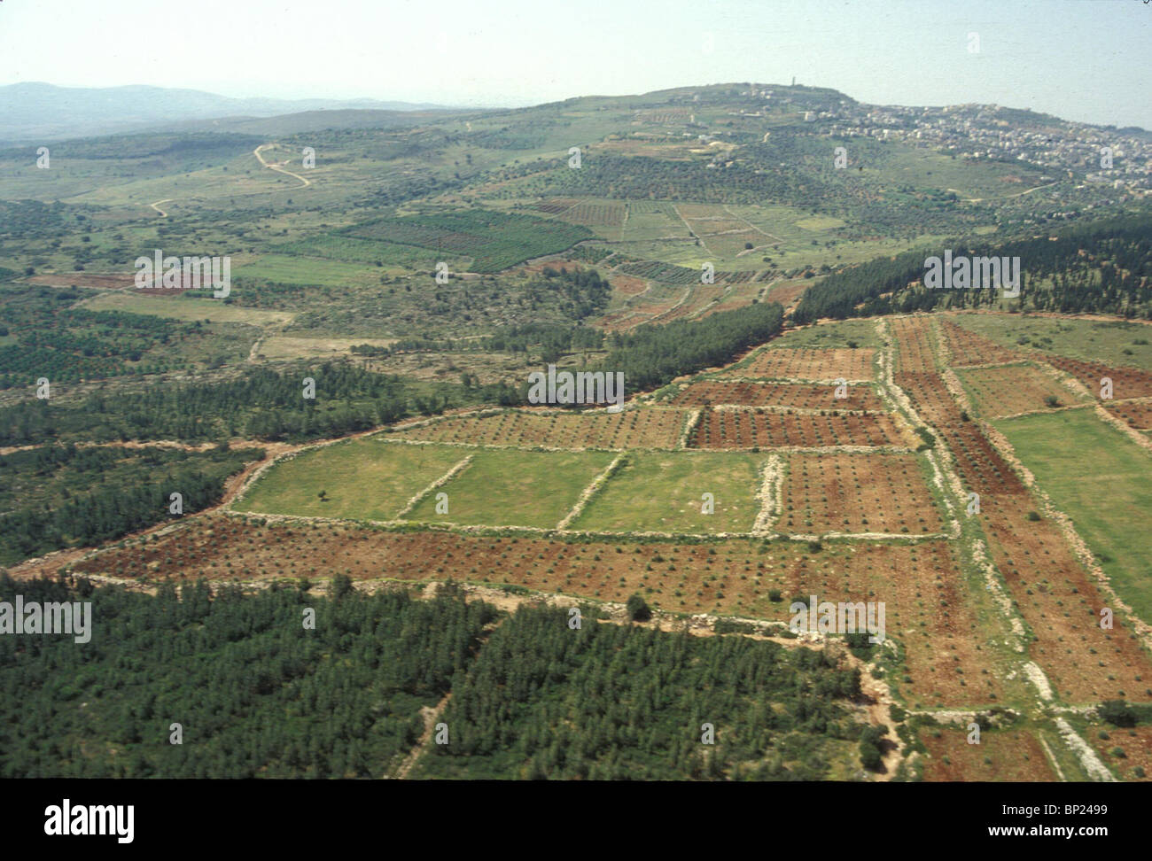 Valle di Jezreel separa la Galilea da Samaria. Il nome significa Dio semina & riflette la fertilità della valle. Biblica Foto Stock