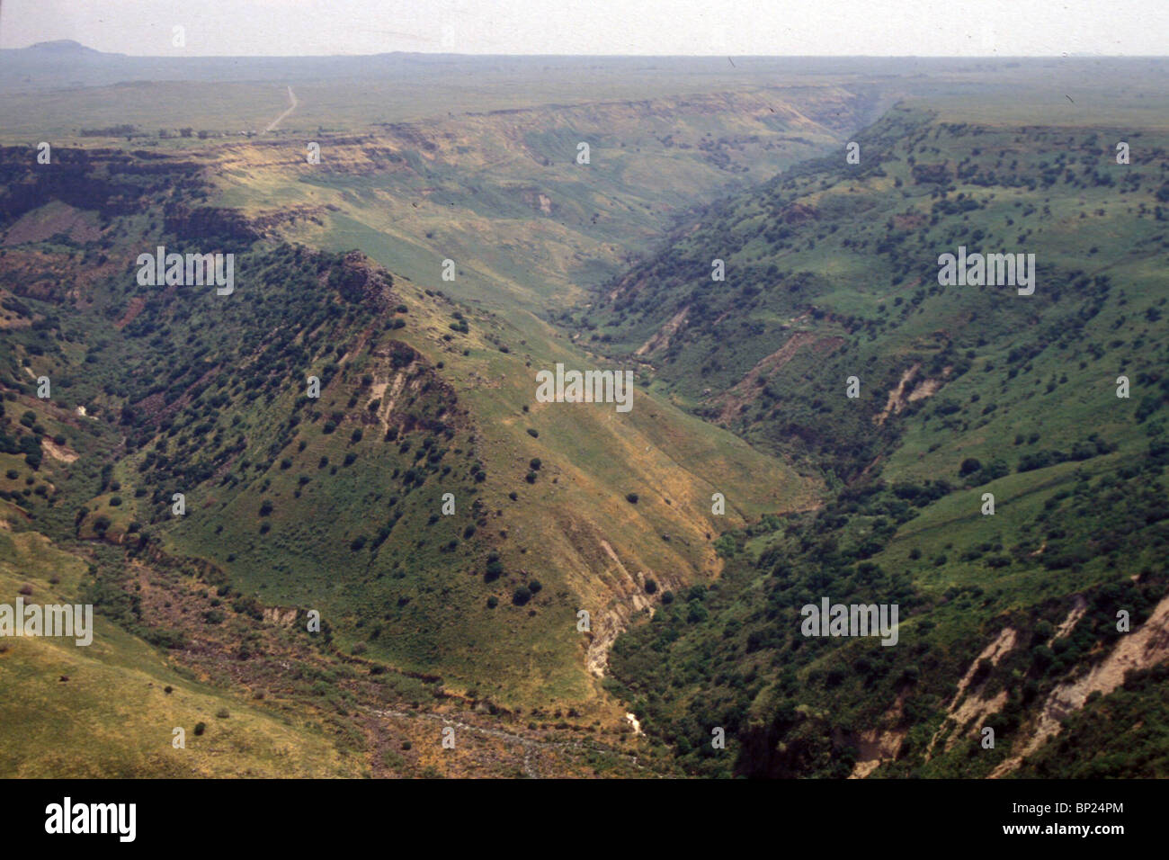 621. GOLAN - altopiano fertile ad est del fiume Giordano, al di sopra del mare di Galilea Foto Stock