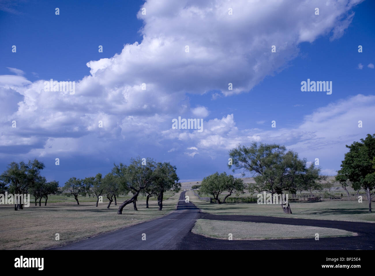 Strada asfaltata tra alberi e cloudscape Foto Stock