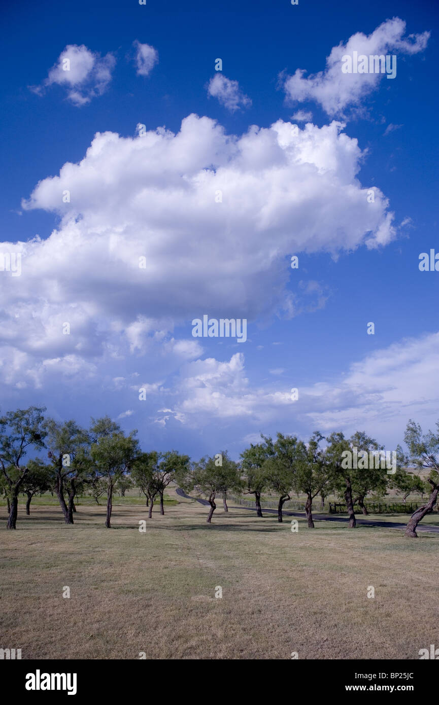 West Texas paesaggio in estate Foto Stock