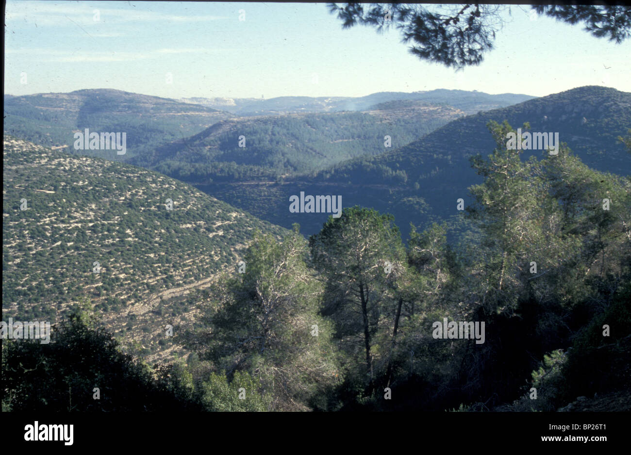 1255. Vista sulle montagne di Gerusalemme vicino a NAHAL SOREK Foto Stock