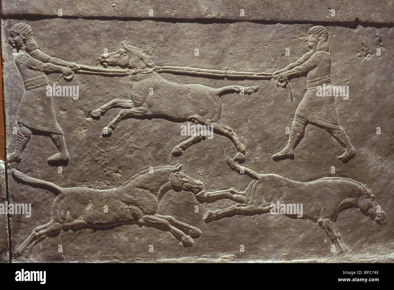 1453. Caccia asini selvatici, parete sollievo dal re ASHURBANIPAL'S PALACE DI NINVEH, 7TH. C. a. C. Foto Stock