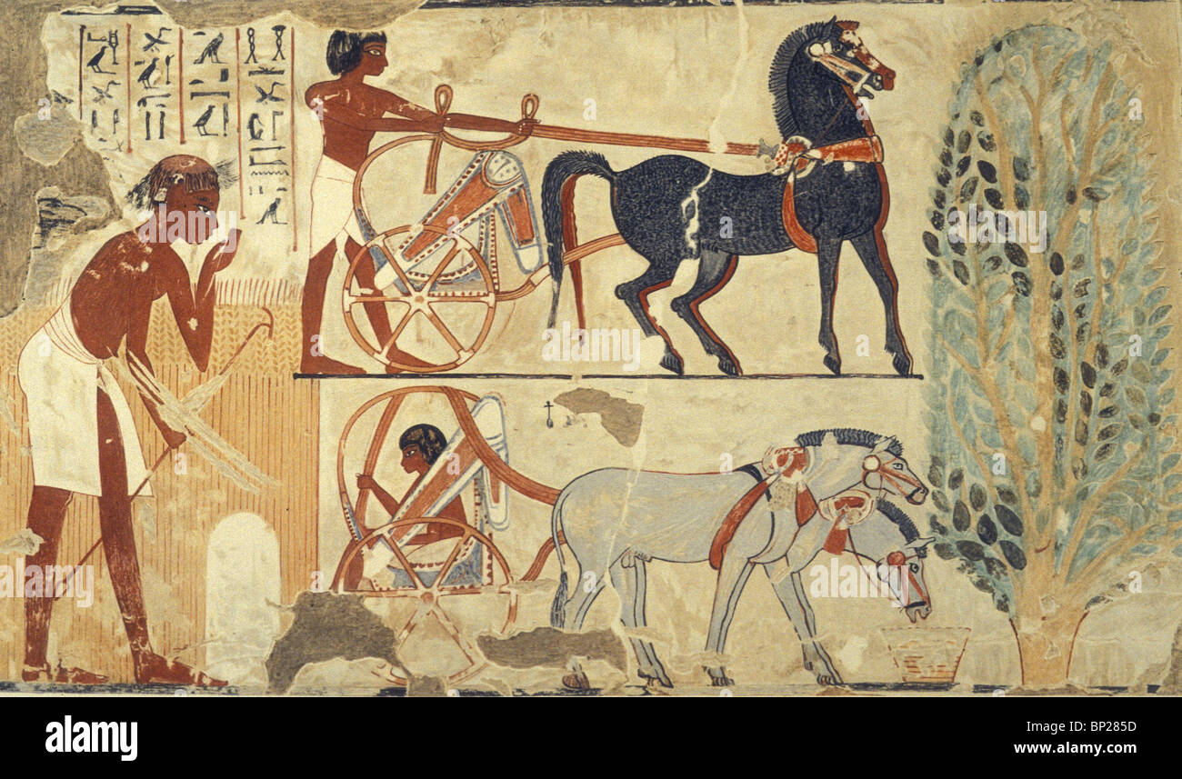1853. Immissione in commercio la marcatura di pietra nei campi, Thutmosi IV. 1420 - 1375 A.C. Foto Stock
