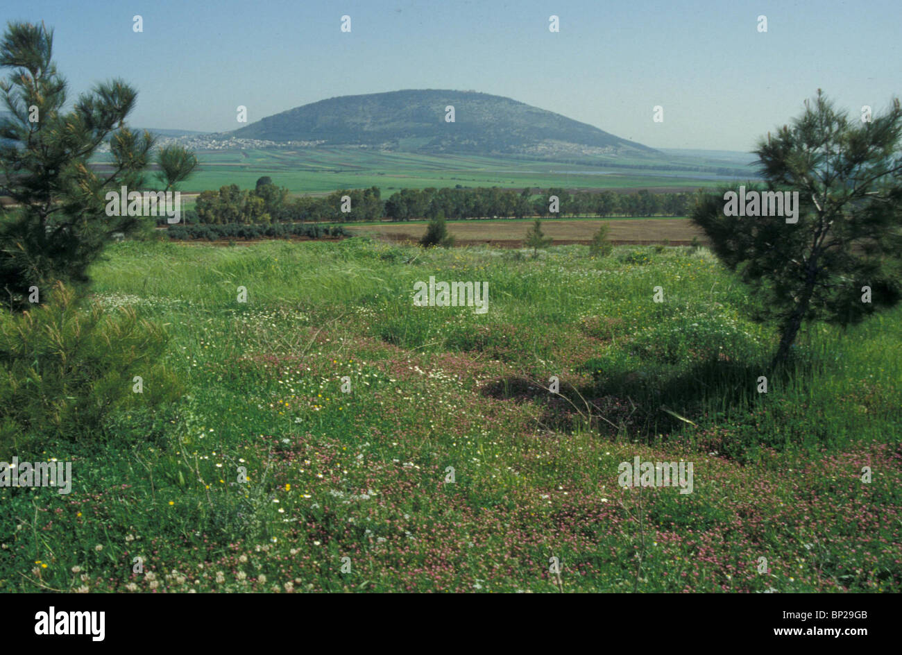 Valle di Jezreel separa la Galilea da Samaria. Il nome significa Dio semina & riflette la fertilità della valle. Biblica Foto Stock