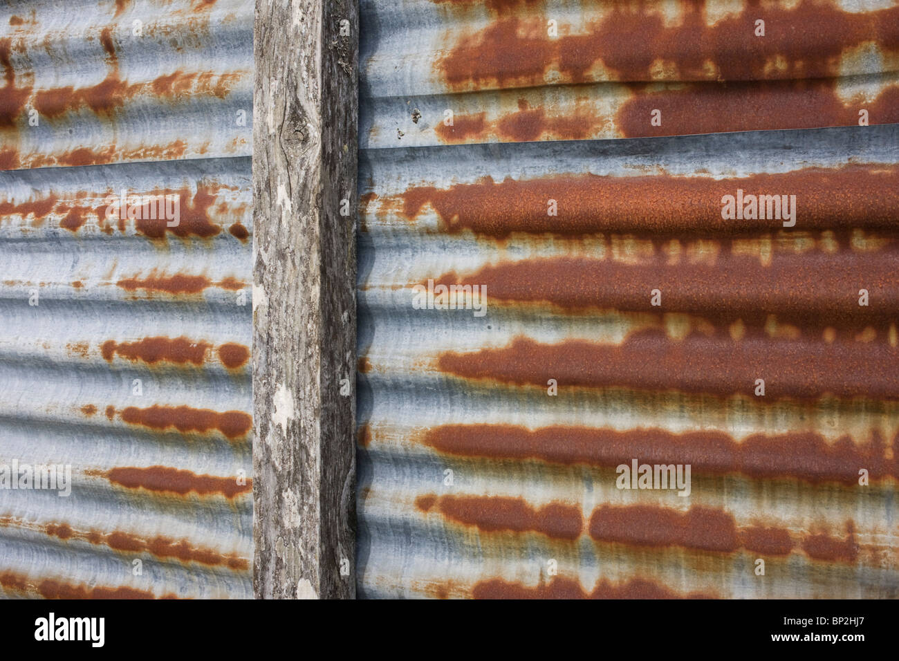 Arrugginita ferro corrugato in abbandonato allevamento di penne in Glen Bauchor, Newtonmore, Scozia. Foto Stock