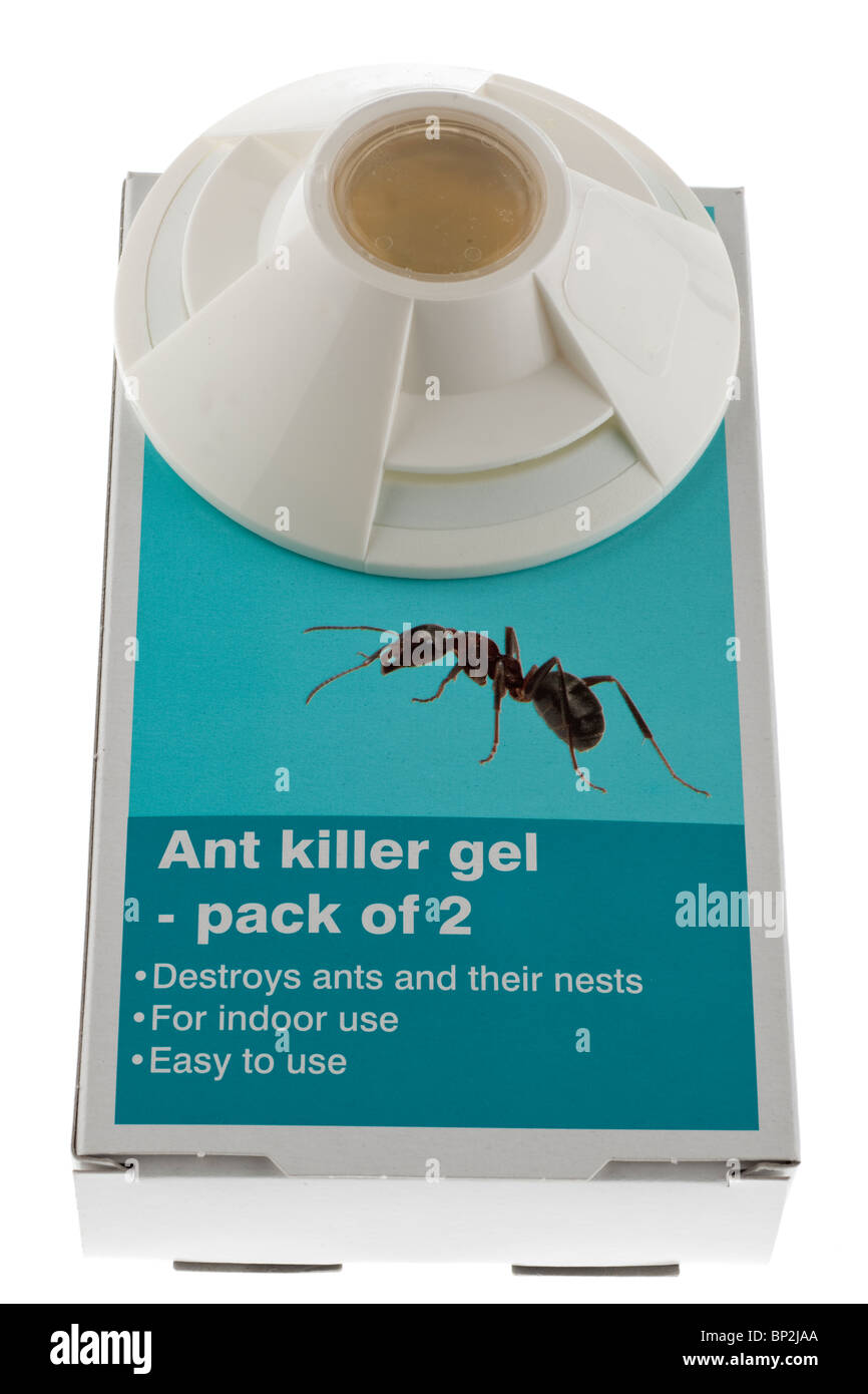 Plastica killer ant trappola e box Foto Stock