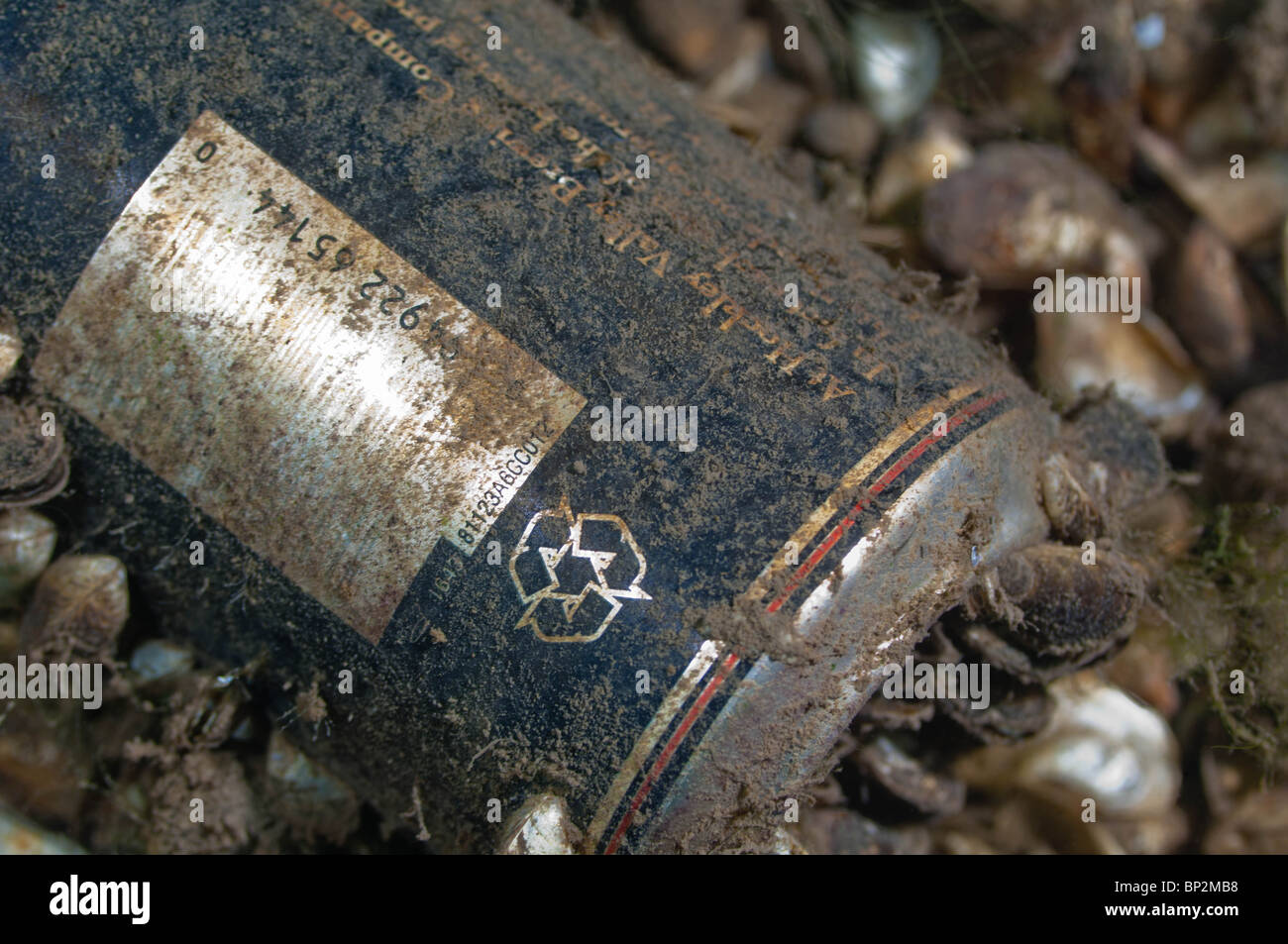 Un incautamente gettato in alluminio può ottiene colonizzata da acqua dolce Cozze Zebra. Foto Stock