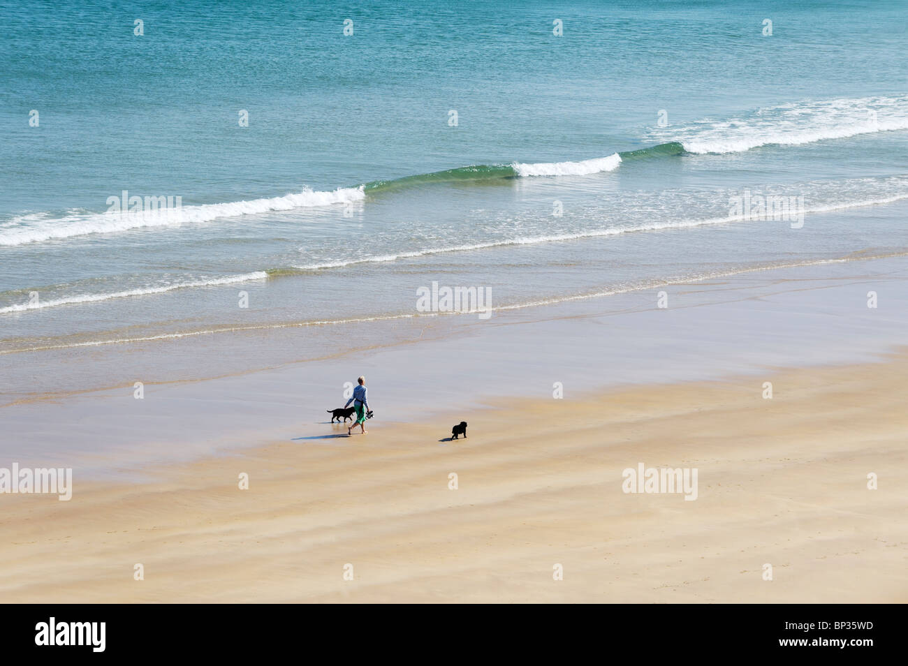 Donna che cammina da sola i cani sulla spiaggia deserta shore a rocce bianche tra Portrush e Bushmills, Irlanda del Nord Foto Stock