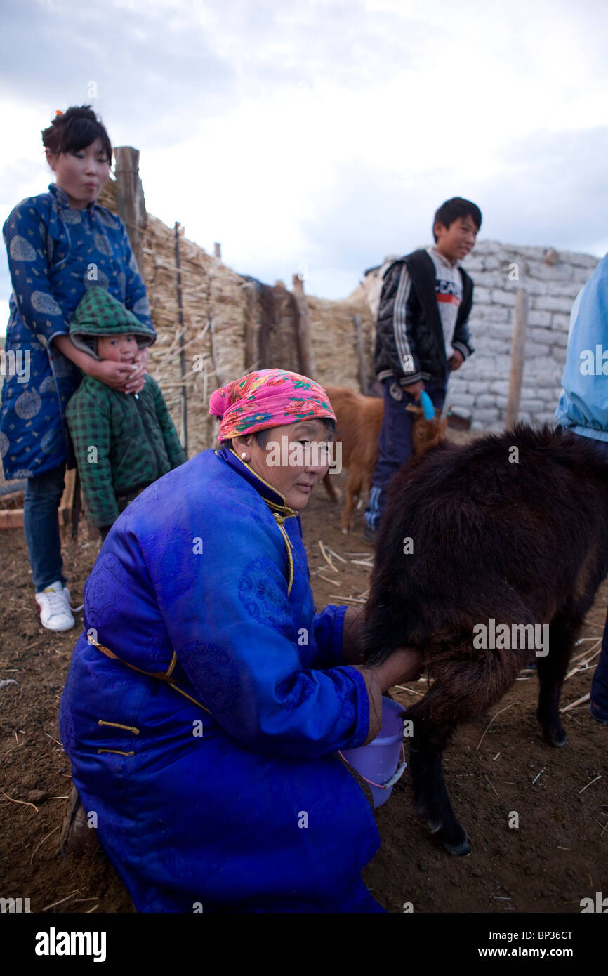 Il mongolo di pastori con i loro animali Foto Stock