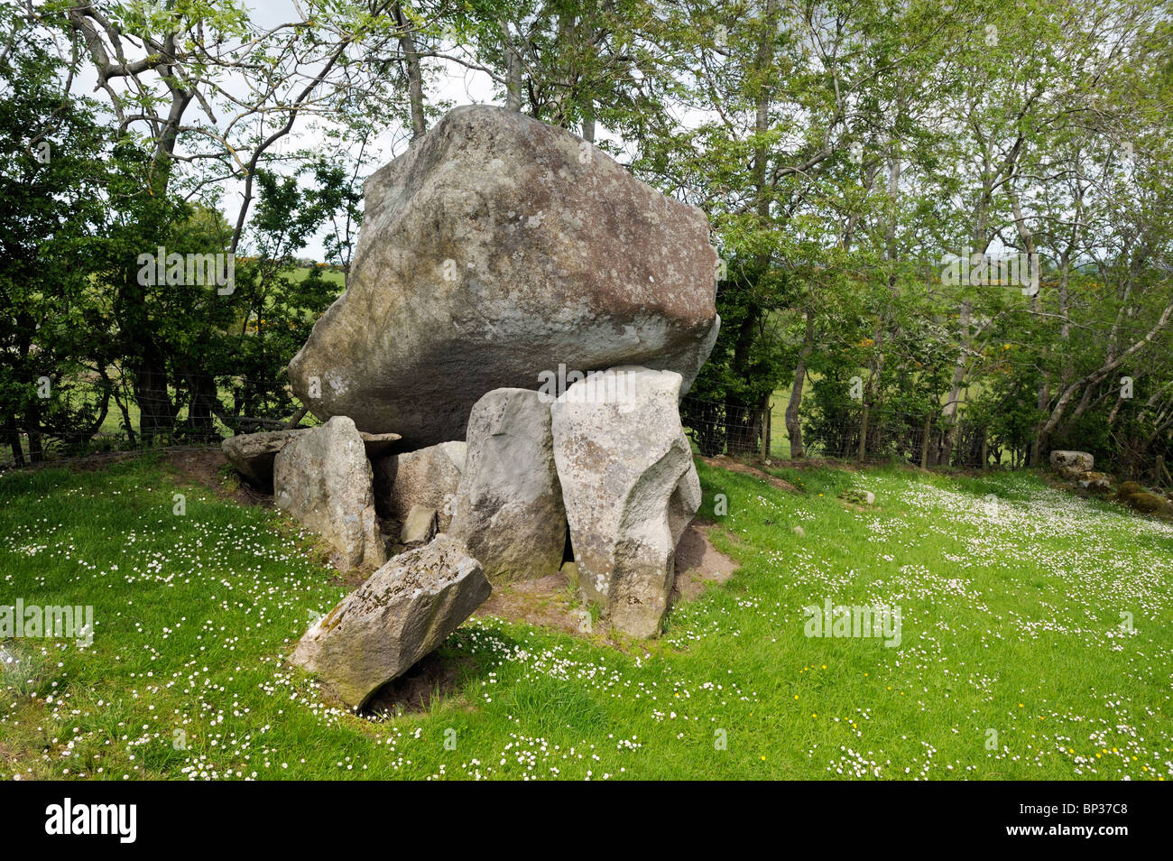 Goward Dolmen, chiamato anche Cloghmore Cromlech. Hilltown, County Down, Irlanda del Nord. Megalitici preistorici sepoltura camera Foto Stock