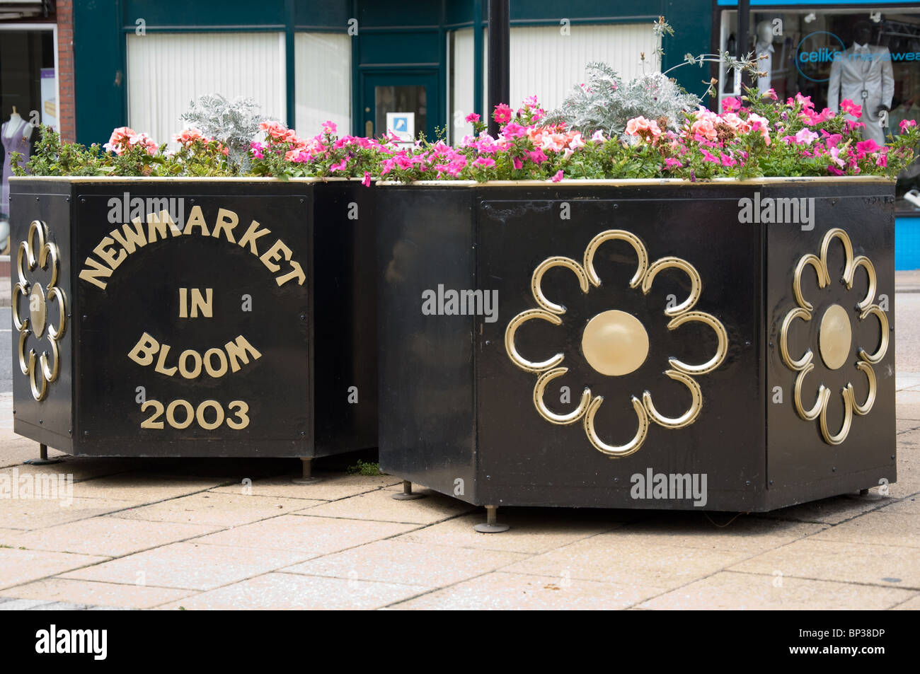 Le piantatrici di fiori di Newmarket High Street Foto Stock