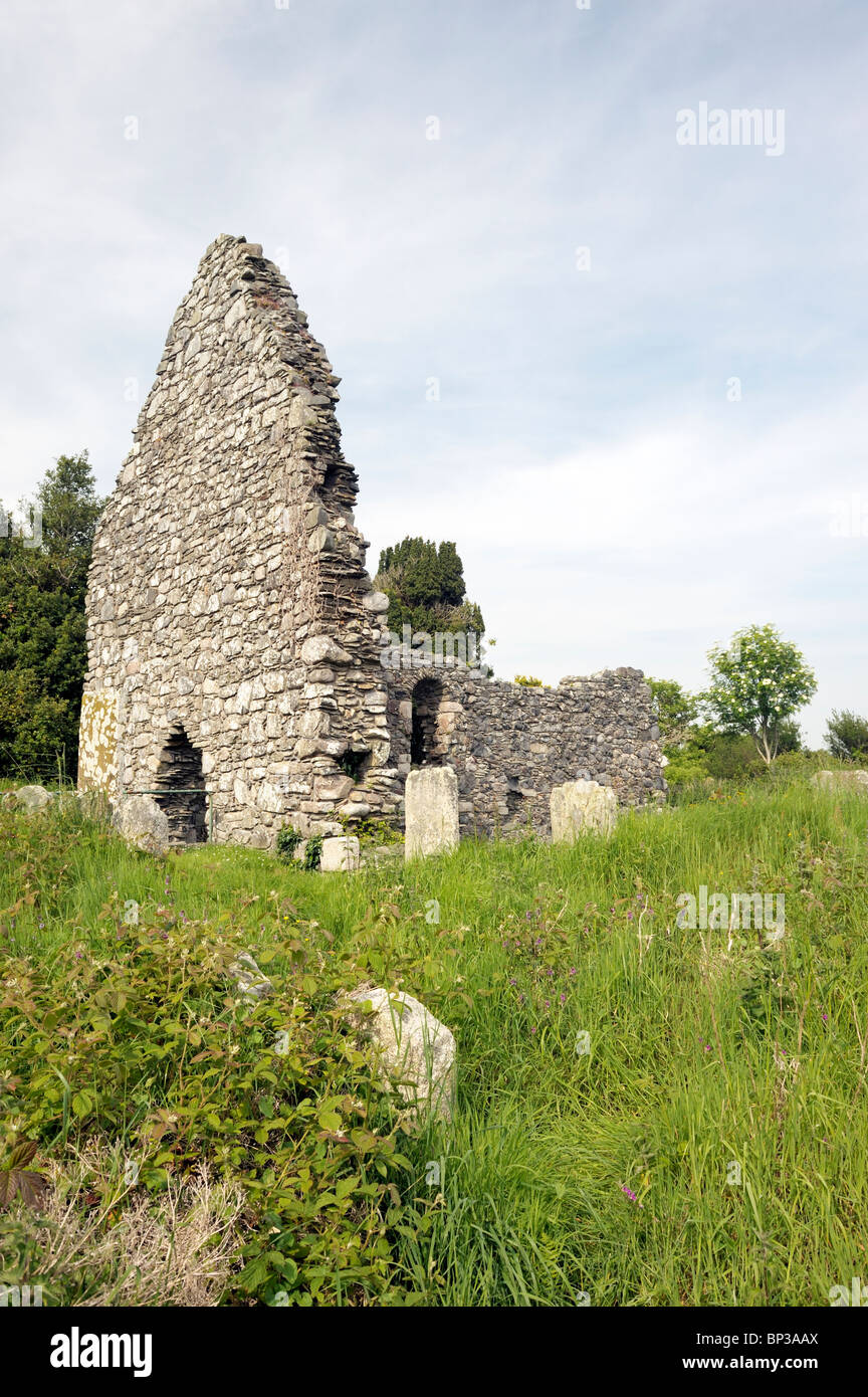 Marghera vecchia chiesa sorge all'interno del cashel di Murbhuilg, casa di Echu, padre di San Donairt. La contea di Down, Irlanda del Nord Foto Stock