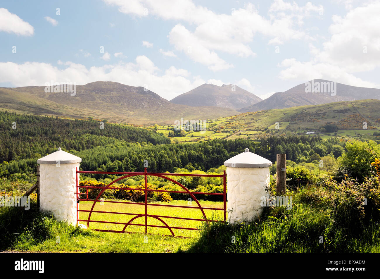 La Mourne Mountains, County Down, Irlanda del Nord. A sud di La Valle Trassey Tollymore e Forest Park a Slieve Bearnagh Foto Stock