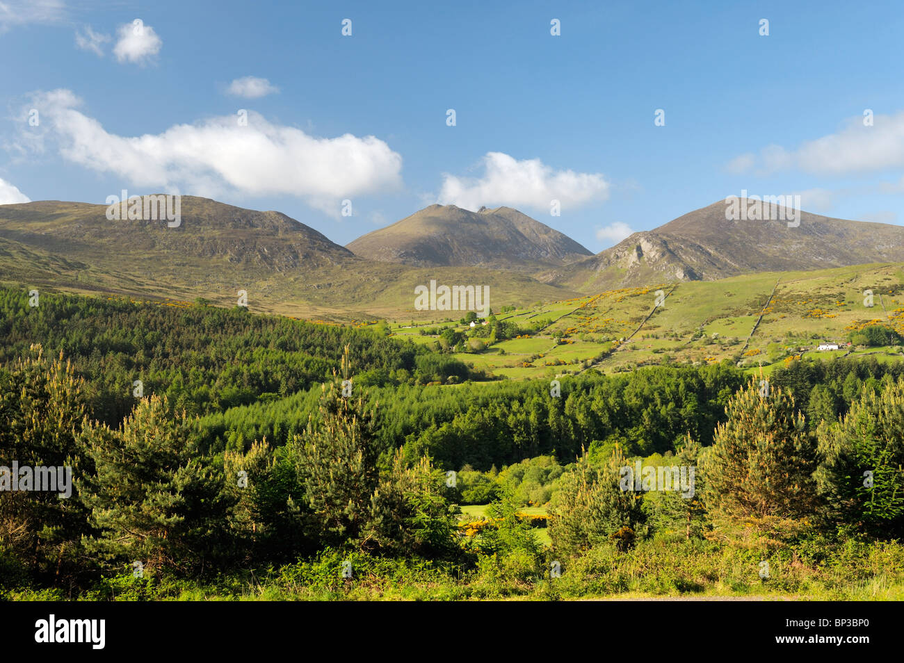 La Mourne Mountains, County Down, Irlanda del Nord. A sud di La Valle Trassey Tollymore e Forest Park a Slieve Bearnagh Foto Stock