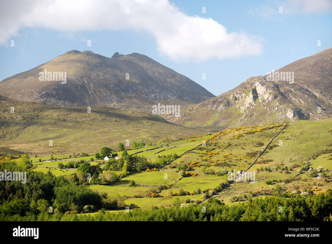 La Mourne Mountains, County Down, Irlanda del Nord. A sud di La Valle Trassey, Spellack e lepri di Gap Slieve Bearnagh Foto Stock