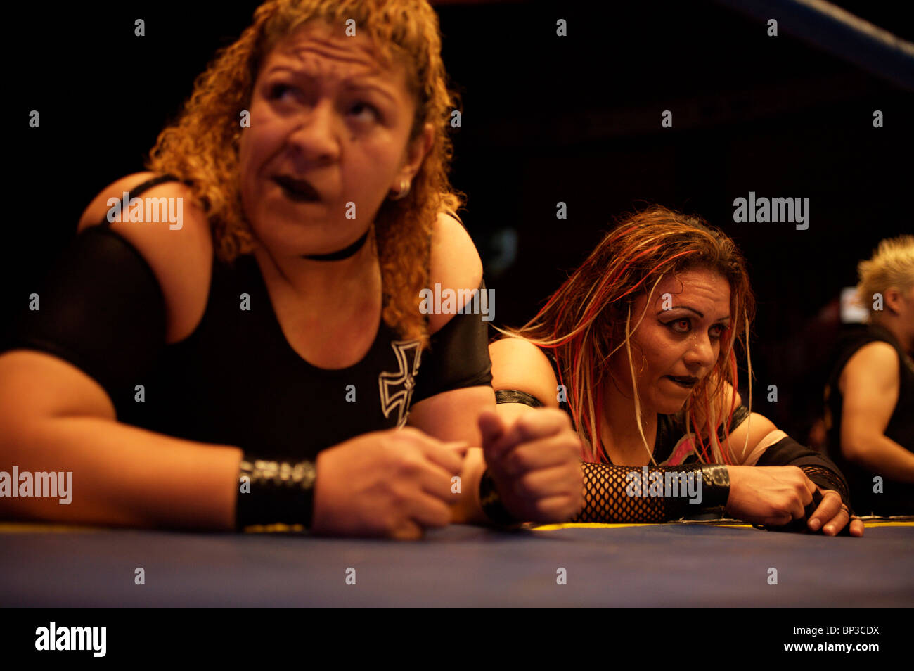 Lottatori femmina ad una Lucha Libre Wrestling show a Arena Messico a Città del Messico, 16 luglio 2008. Foto Stock