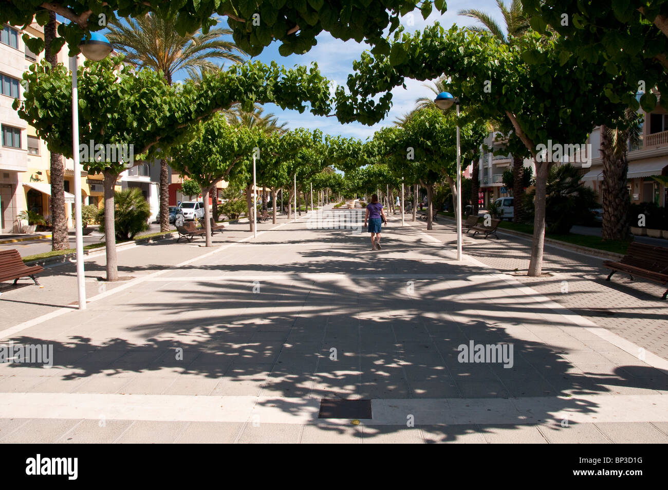 Viale alberato marciapiede in Moraira Costa Blanca Foto Stock