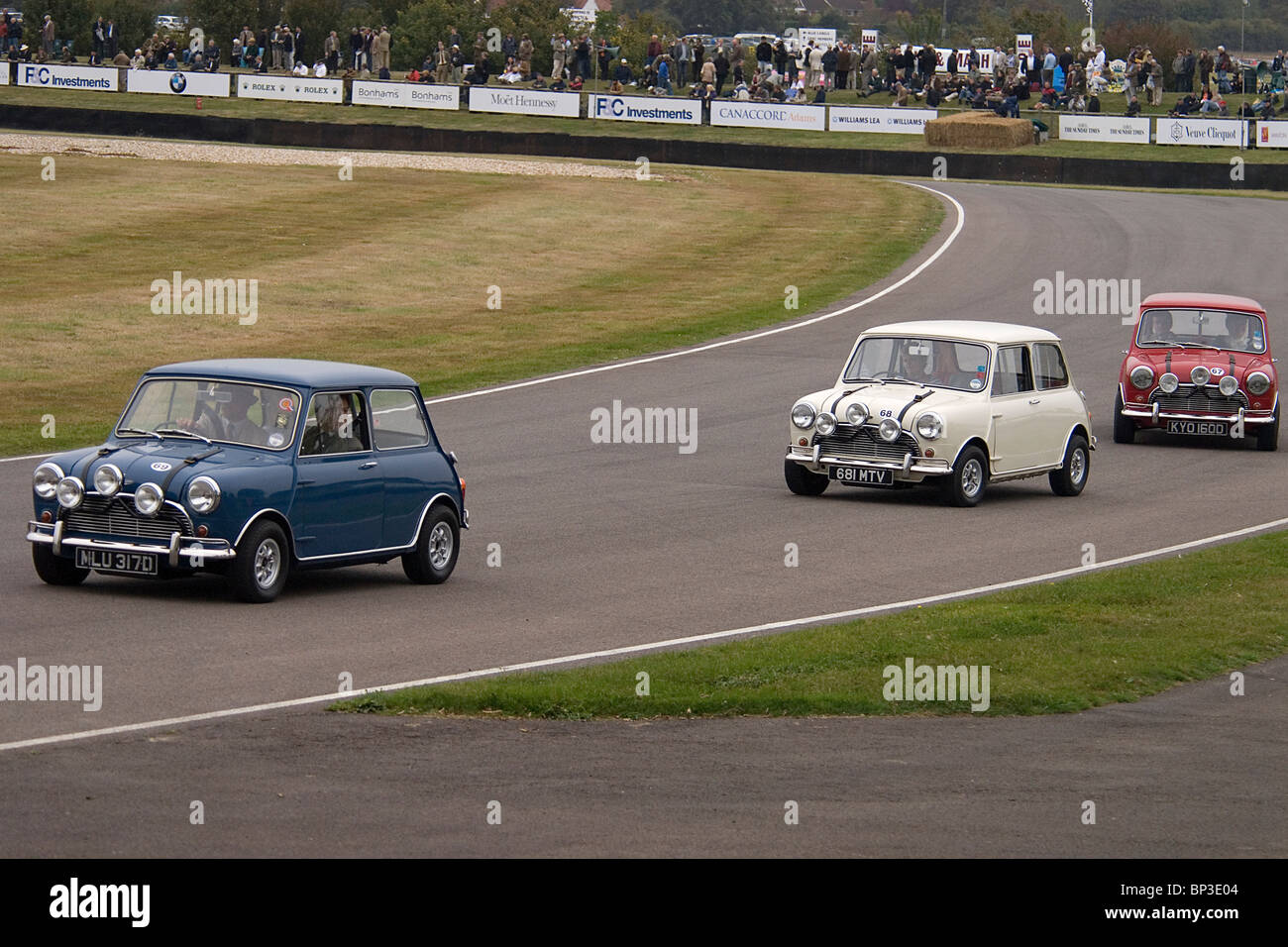 Tre originale "Italian Job" Mini Cooper S a Goodwood Foto Stock