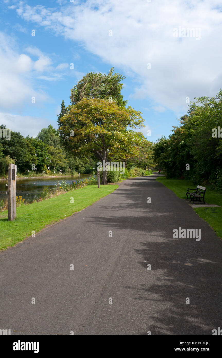 Scena da Victoria Park, nella parte orientale di Belfast, un ASSI (Area di particolare interesse scientifico). Foto Stock