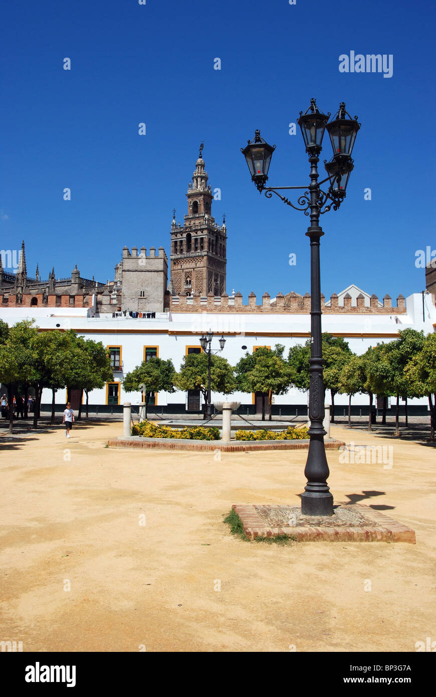 Torre Giralda visto dal Patio de Banderas, Siviglia, provincia di Siviglia, in Andalusia, Spagna, Europa occidentale. Foto Stock