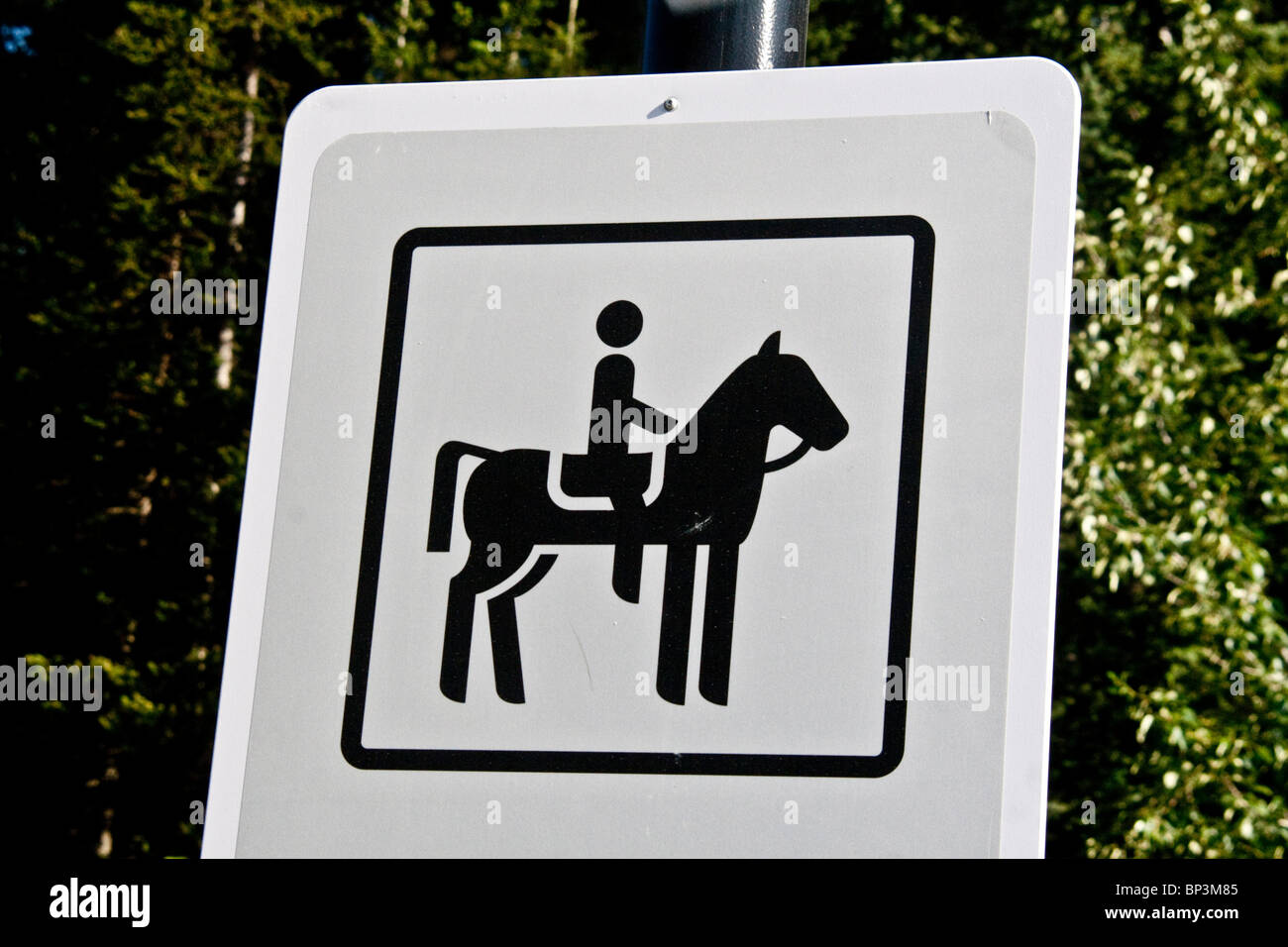 Segno indicante cavallo prova, Jasper National Park, Canada Foto Stock