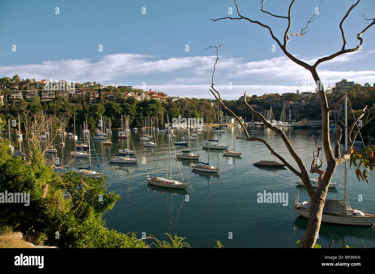 Barche ormeggiate Mosman Bay Sydney NSW Australia Foto Stock