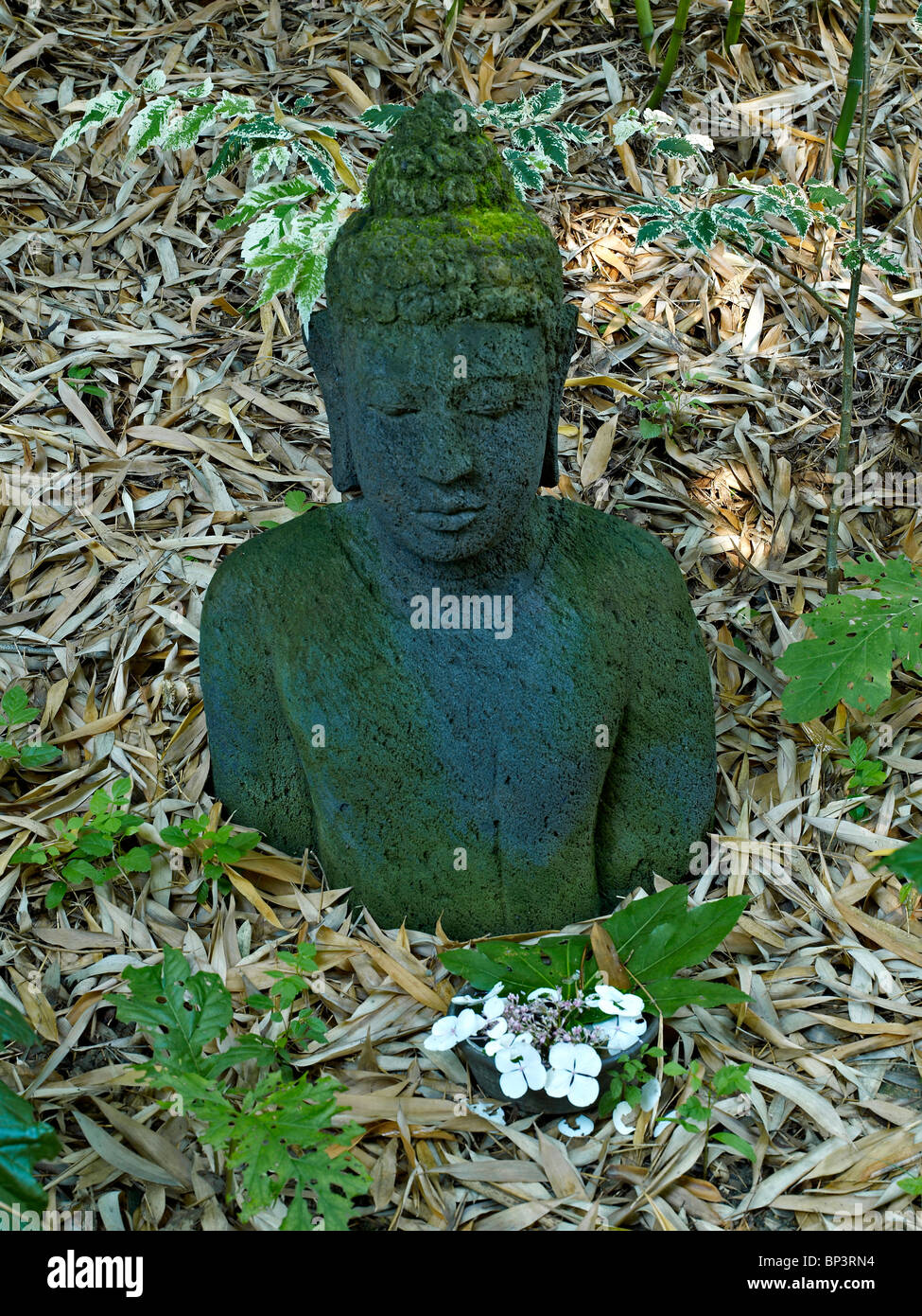Statua di Buddha in giardino Foto Stock