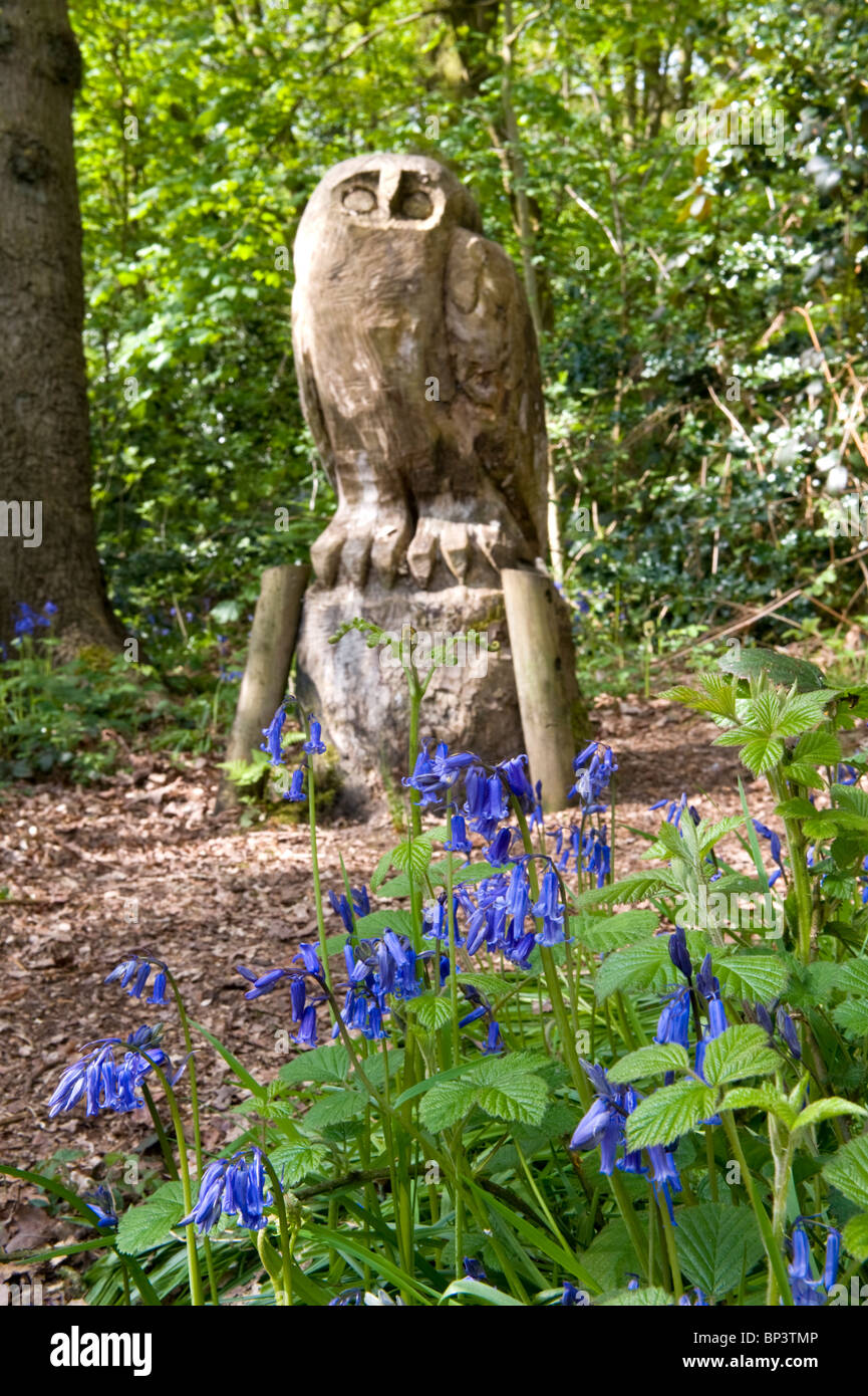 Un Albero scolpito il moncone gufo tra Bluebells, Owly legno, Weaverham, Cheshire, Inghilterra, Regno Unito Foto Stock
