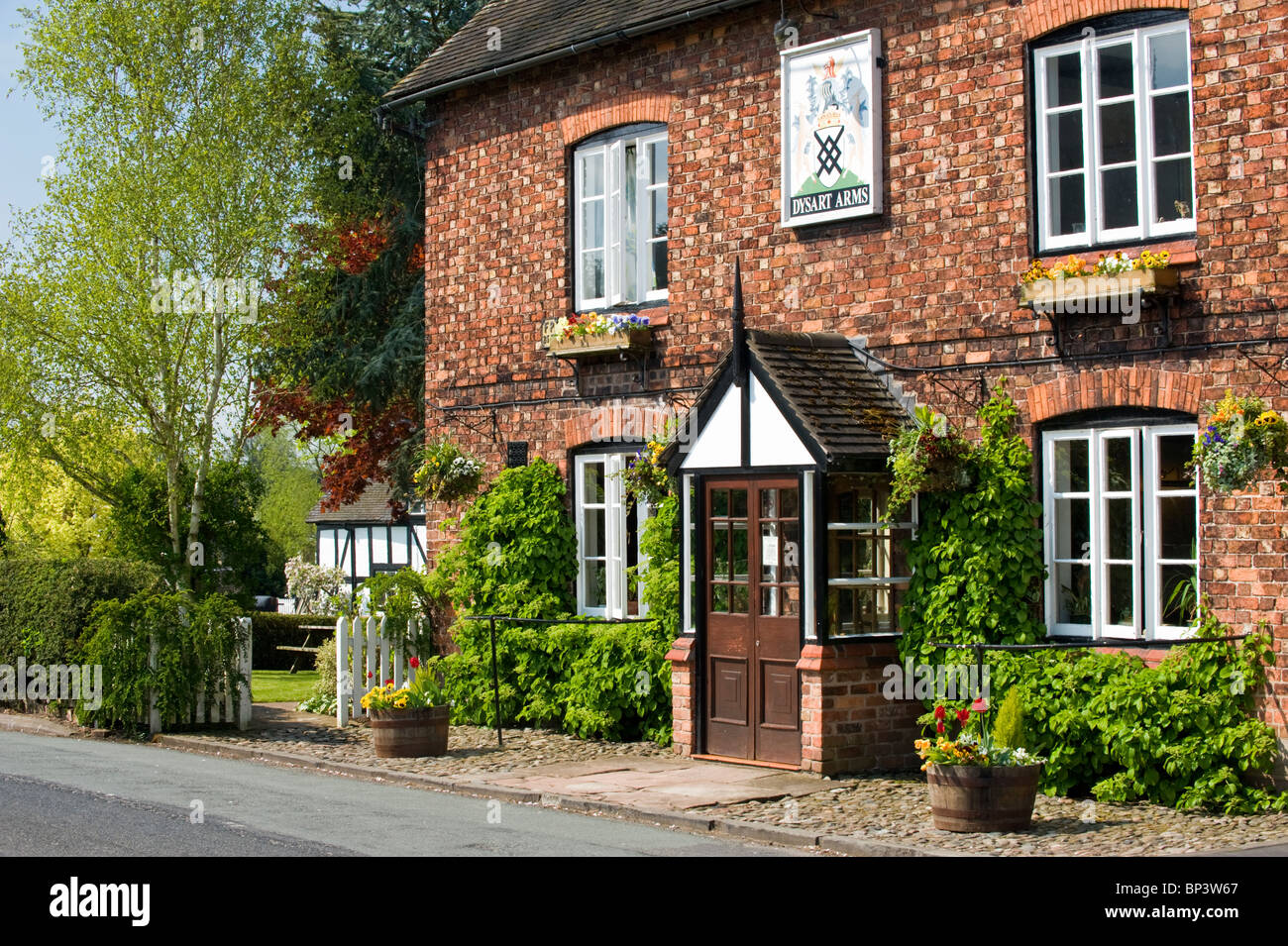 Il Dysart Arms in primavera, Bunbury, Cheshire, Inghilterra, Regno Unito Foto Stock