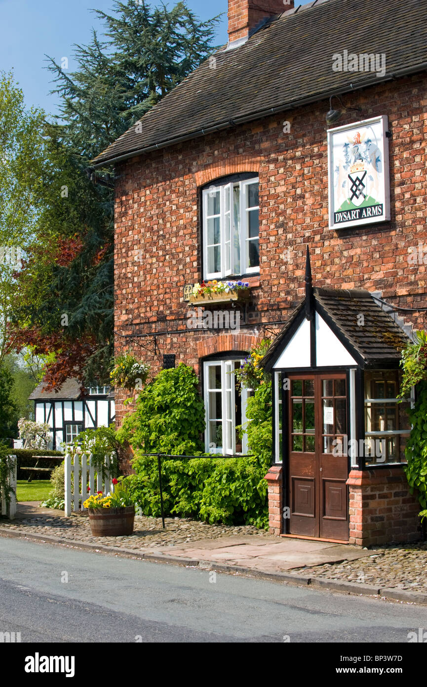 Il Dysart Arms in primavera, Bunbury, Cheshire, Inghilterra, Regno Unito Foto Stock