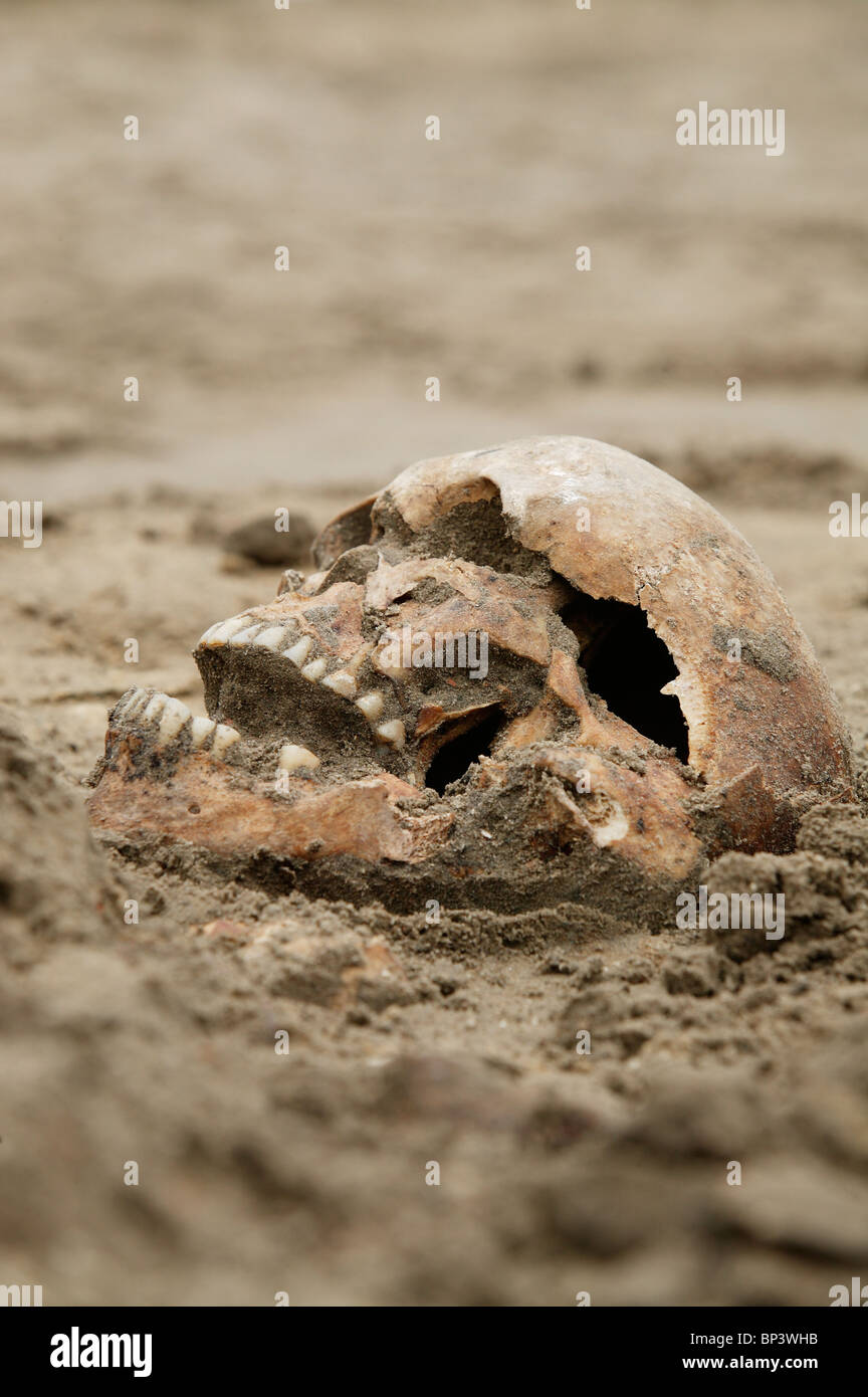 Lo scavo archeologico a Petriplatz, Berlino, Germania Foto Stock