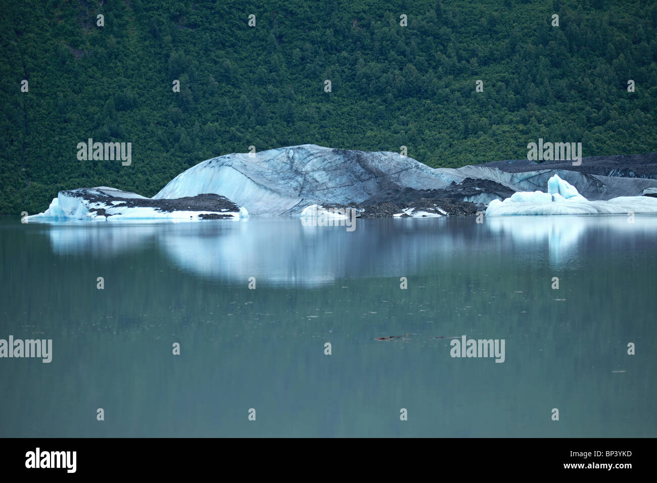 Ice berg galleggiante nella baia di oceano vicino la foresta e la montagna. Il riscaldamento globale e i cambiamenti climatici. Alaska, Stati Uniti d'America. Foto Stock