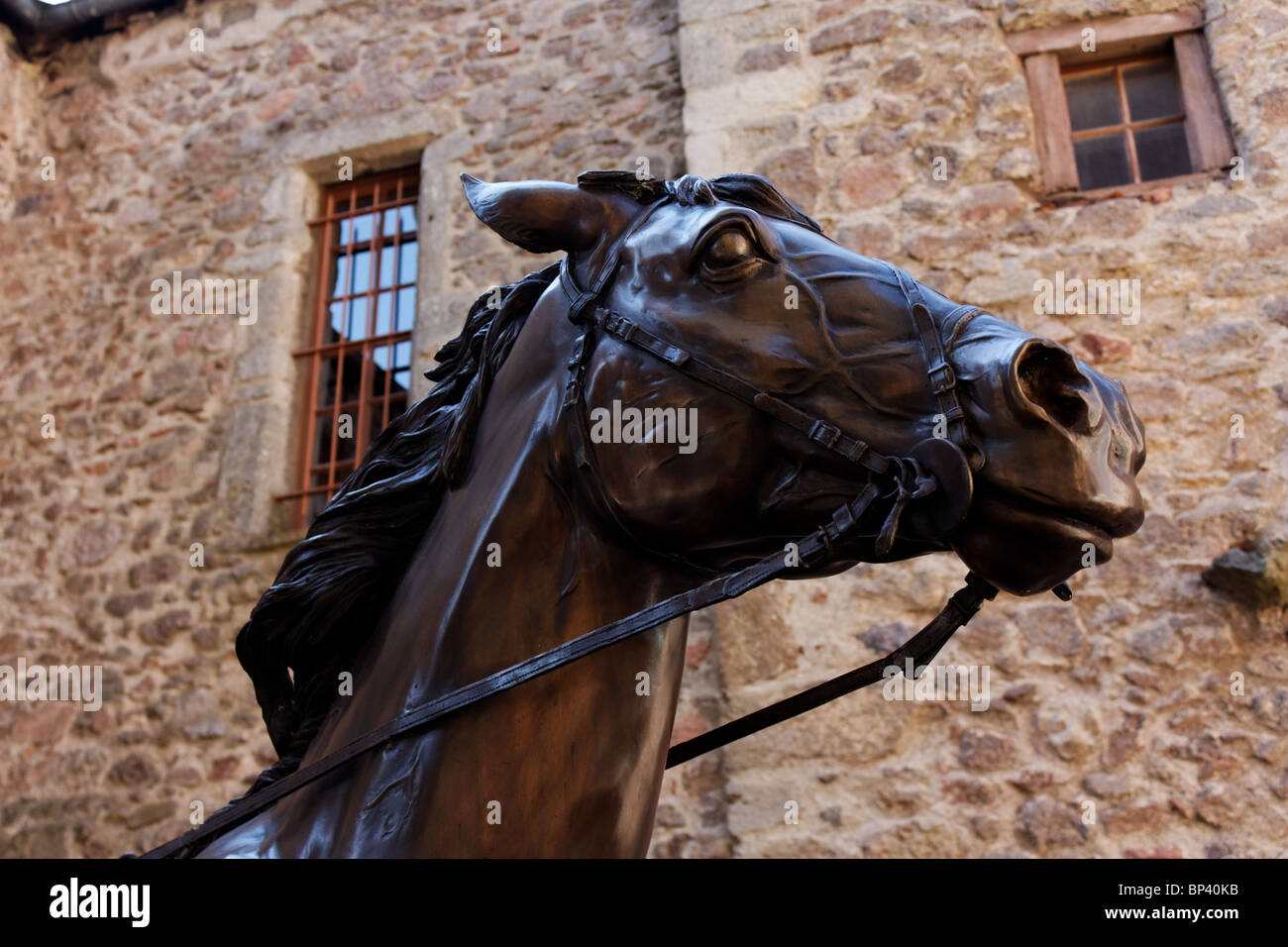 Testa di cavallo Foto Stock