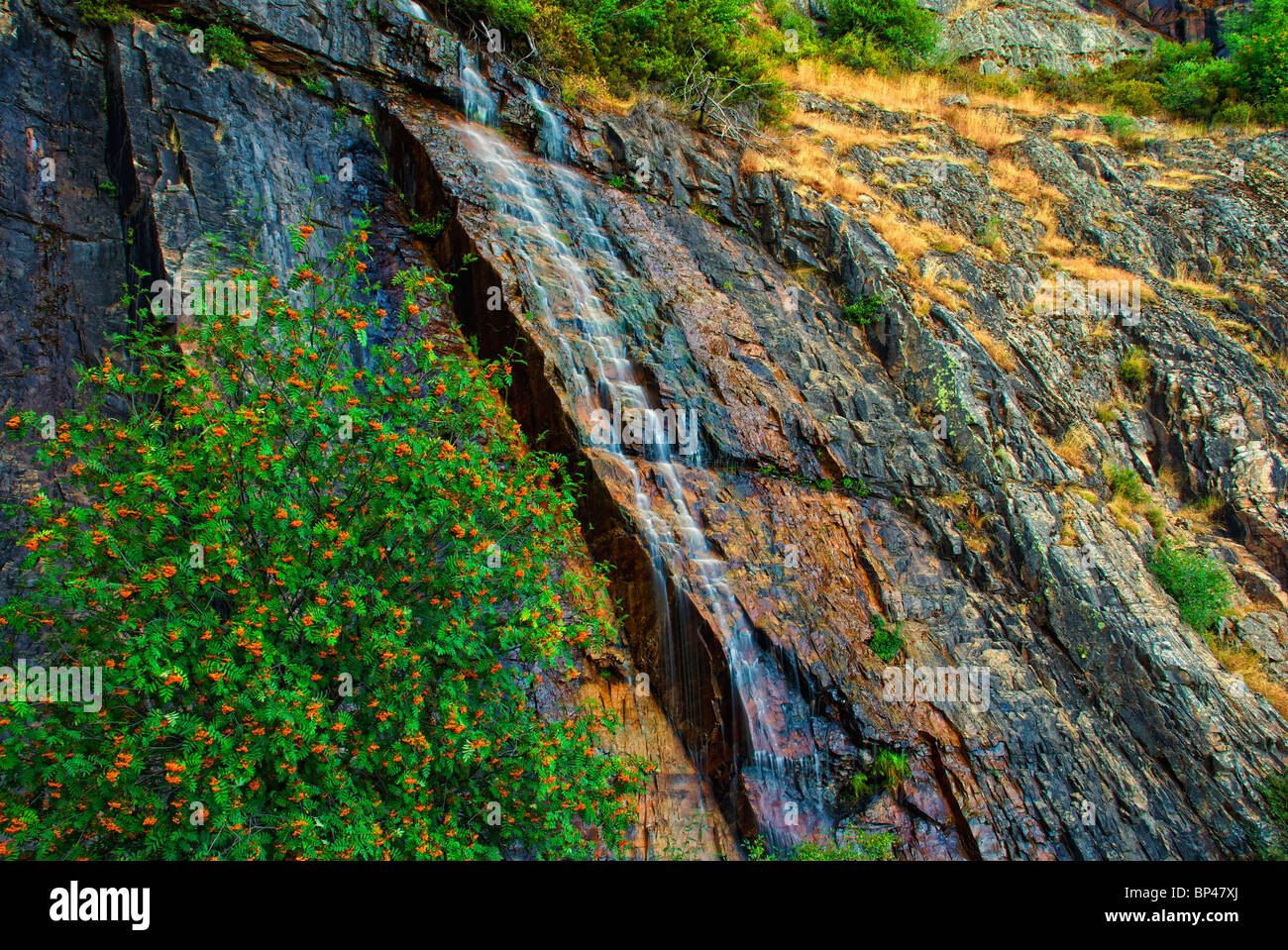 Chorreras de Despeñalagua. Sierra de Ayllon. Valverde de los Arroyos. Provincia di Guadalajara. Castilla-La Mancha. Spagna. Foto Stock