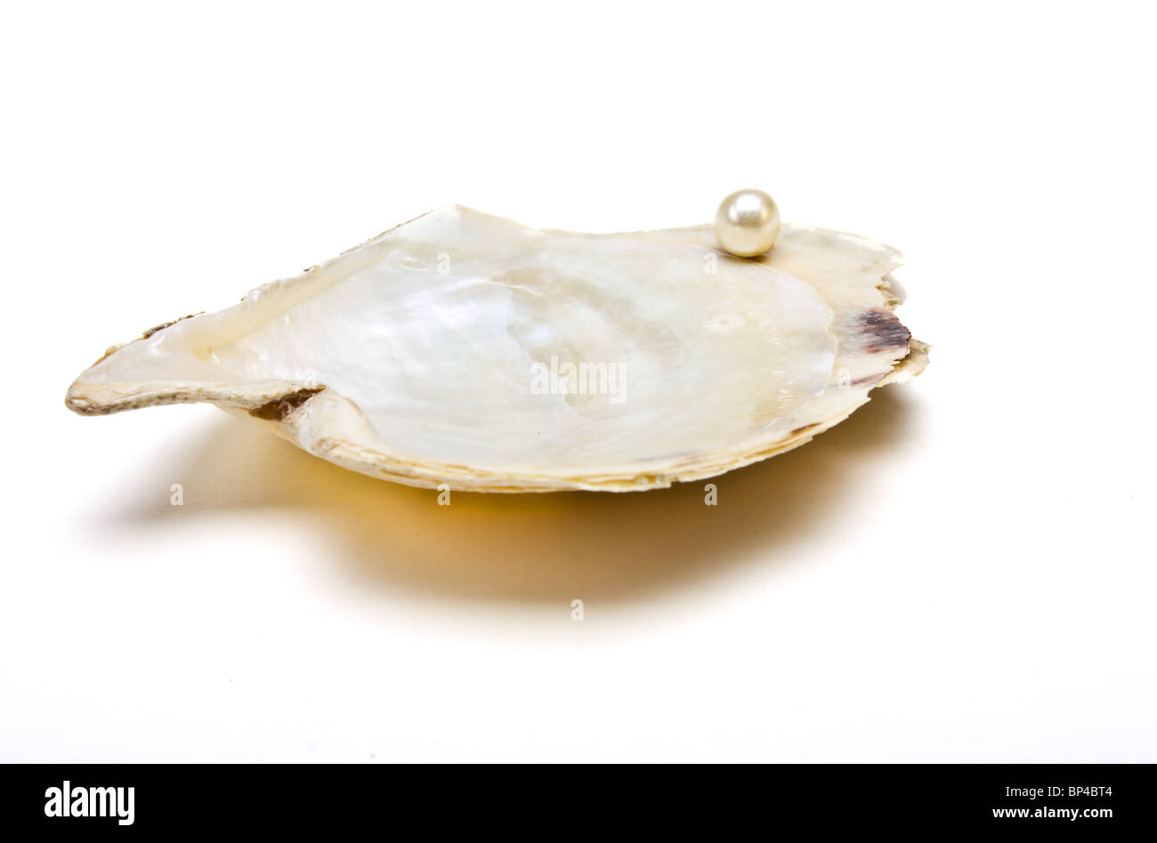 Pearl in appoggio su aprire il guscio di ostrica a raffigurare il concetto di ricchezza isolata contro il bianco. Foto Stock