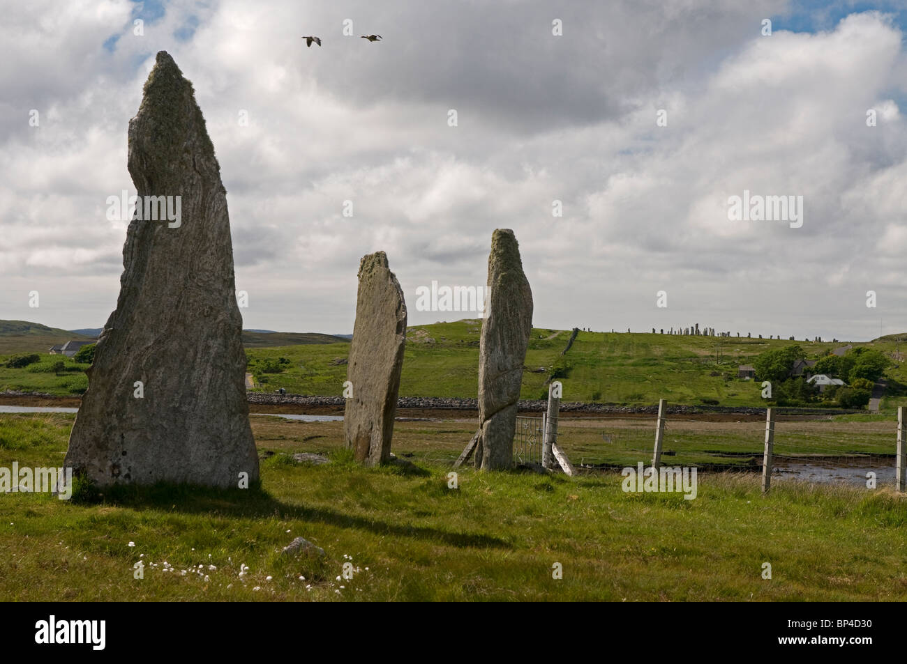 Cnoc Ceann un' Ghàrraidh n. 2 cerchio di pietra nei pressi di Calanais, isola di Lewis Ebridi Esterne, Scozia. SCO 6273 Foto Stock