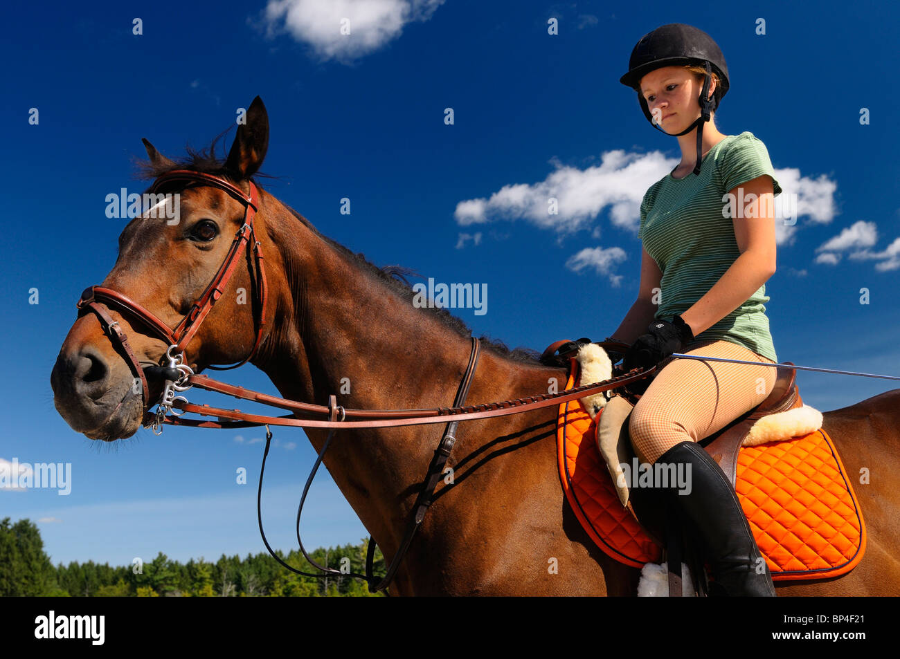 Pilota femmina con casco montato in sella al suo cavallo purosangue all aperto con cielo blu prima di equitazione lezione di formazione ontario Foto Stock