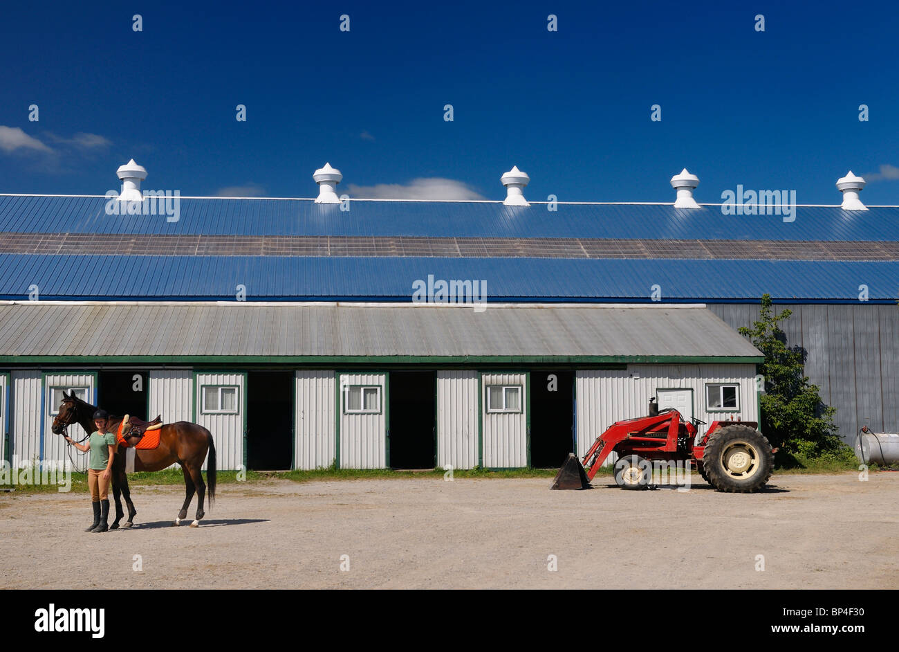 Rider mentre tiene il suo cavallo al maneggio fienile e anello di equitazione arena con il trattore in estate ontario canada Foto Stock