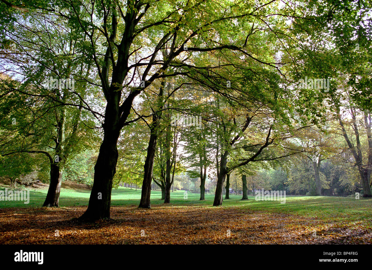 Regno Unito, Inghilterra, Cheshire, Stockport, Bramall Hall, Bramhall parco in tarda estate con foglie autunnali di tornitura Foto Stock