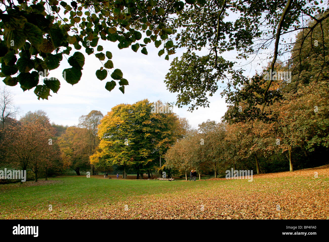 Regno Unito, Inghilterra, Cheshire, Stockport, Bramhall, Bramall Hall, Bramhall Park, alberi d'autunno Foto Stock