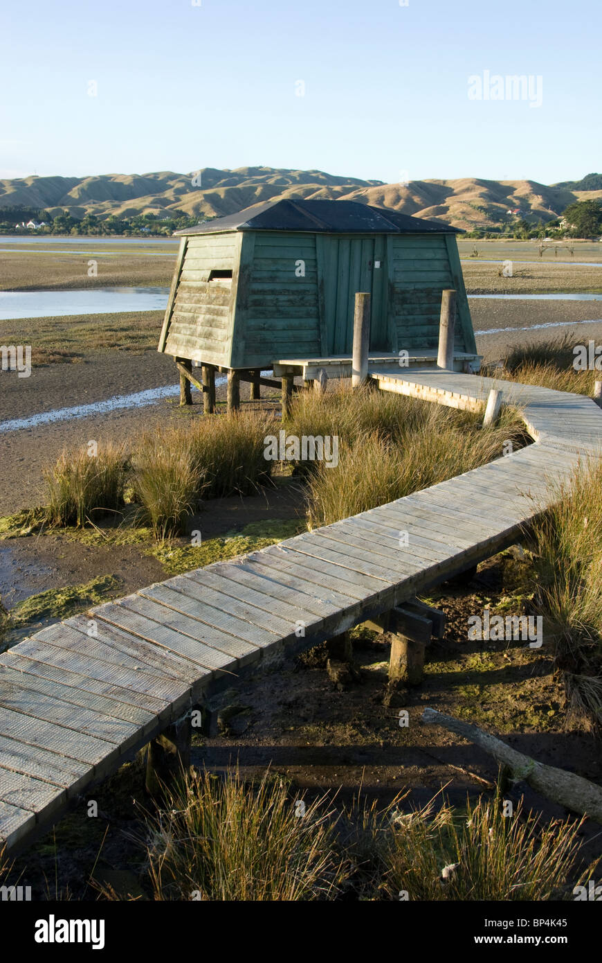 Per nascondere la visualizzazione di uccelli, a riserva faunistica, Pauatahanui ingresso, Porirua porto, Wellington, Isola del nord, Nuova Zelanda Foto Stock