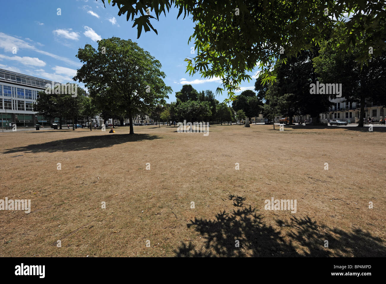 Erba arida e la massa in Victoria Gardens il centro città di Brighton durante la calda estate secca Foto Stock