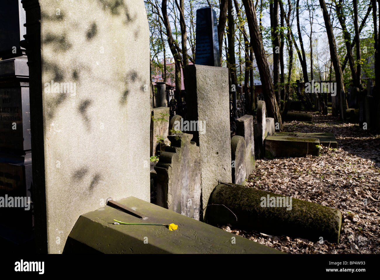Il cimitero ebraico in Okopowa Street. Varsavia POLONIA Foto Stock