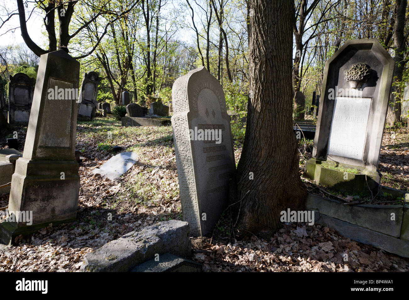 Il cimitero ebraico in Okopowa Street. Varsavia POLONIA Foto Stock
