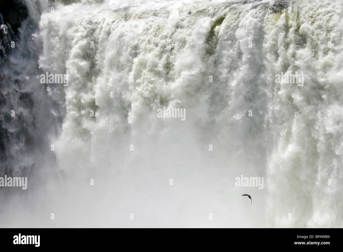 Gola del Diavolo, Iguassu o Iguazu Falls National Park, Argentina Foto Stock